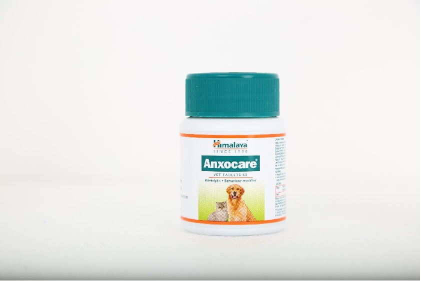 Anxocare: A Comprehensive Guide to its Benefits, Ingredients, and Uses for Dogs