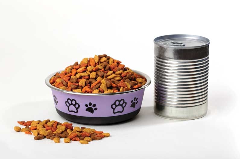 The Complete Guide to Cat Dry Food: Benefits, Types, and Recommendations