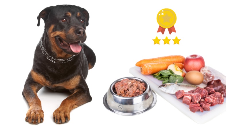 The Ultimate Guide to Rottweiler Dog Food: Best Choices and Eukanuba Rottweiler Dog Food