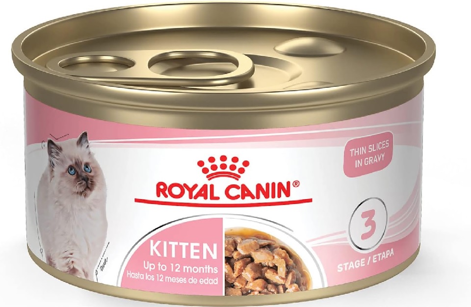 Royal Canin Kitten Food: A Comprehensive Guide for Your Feline Companion