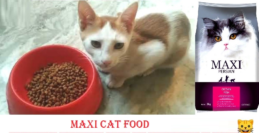 Maxi Cat Food: The Ultimate Guide for Your Feline Friend