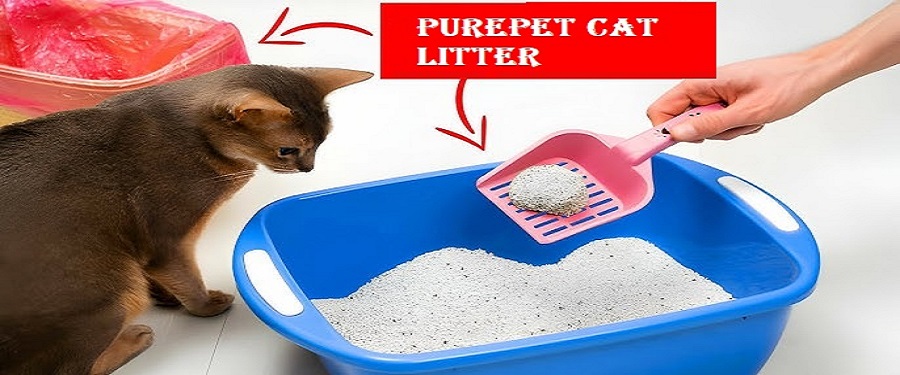 PurePet Cat Litter: The Ideal Choice for Your Feline Friend