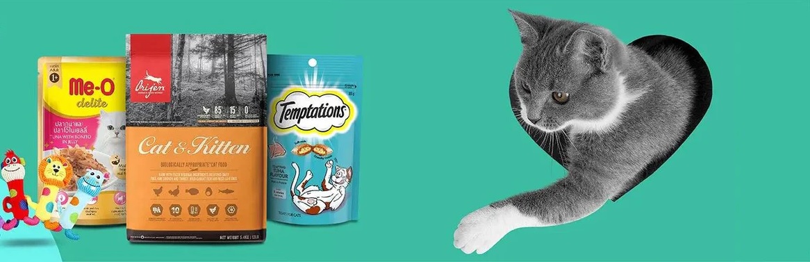 Amimeo Syrup for Cats: Everything You Need to Know