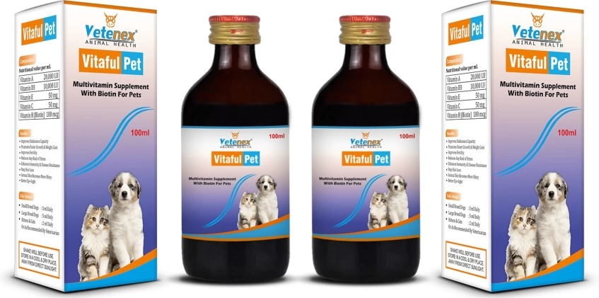 Proviboost Syrup for Cats: Uses, Benefits, and More